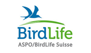 Logo Birdlife englisch