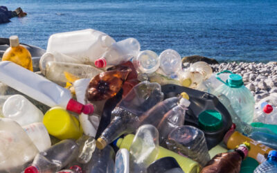 Un accord mondial contre la pollution plastique – entre ambitions et blocages